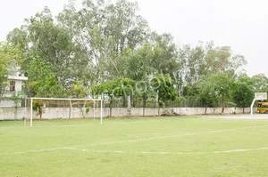 Somerville School Gallery