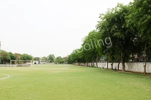 Somerville School Gallery