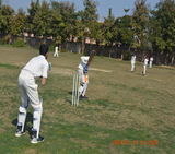 Brain Tree Global School Gallery