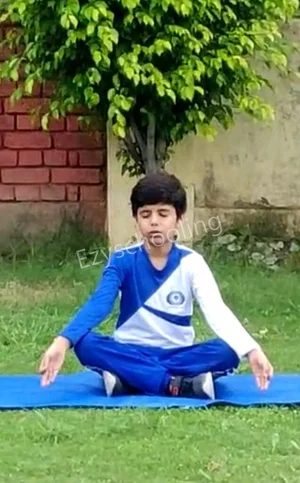 Brain Tree Global School Gallery