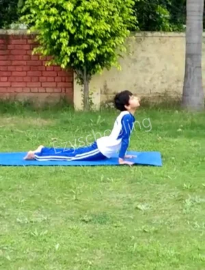 Brain Tree Global School Gallery