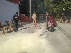 Vishwa Bharati Public School Gallery