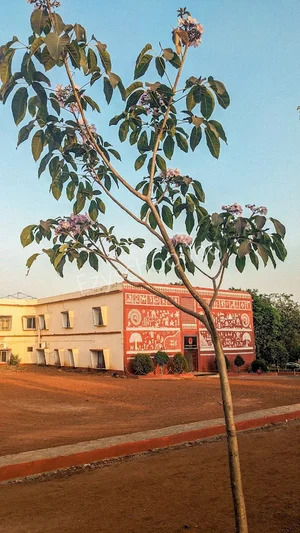 The Manik Public School Gallery