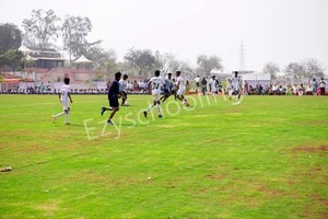 The Manik Public School Gallery