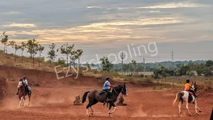 The Manik Public School Gallery