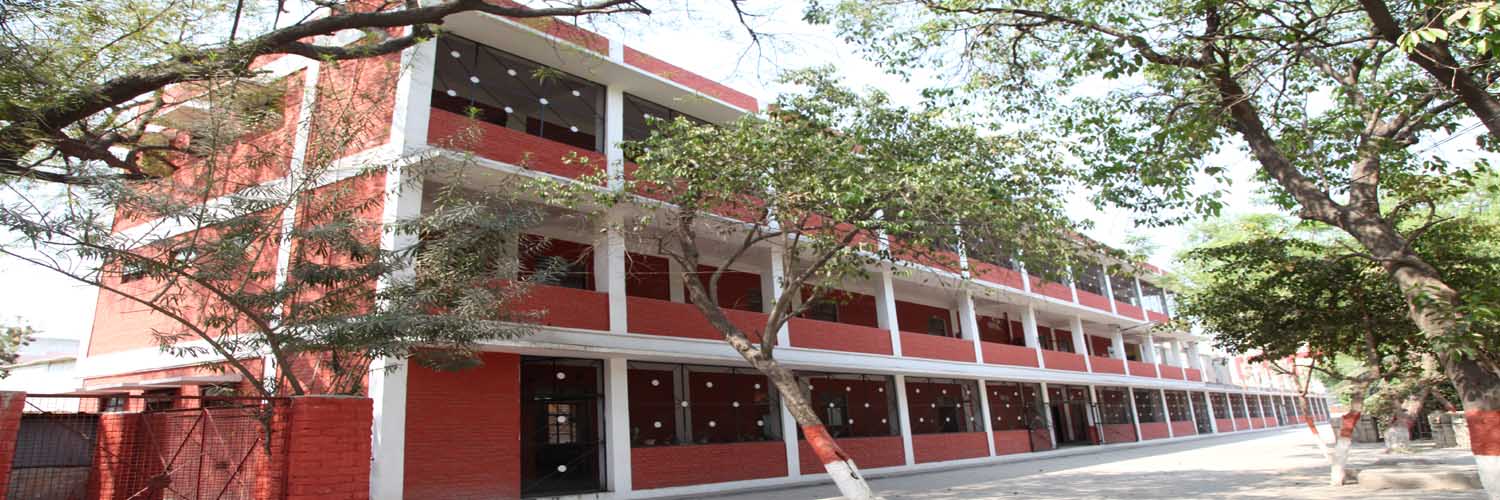 Ingraham English Medium School Gallery