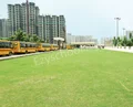 SKS World School Gallery