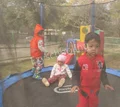 Dolphin Kids School Gallery