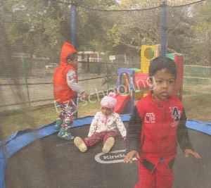 Dolphin Kids School Gallery