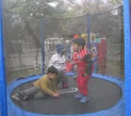 Dolphin Kids School Gallery