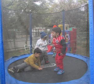 Dolphin Kids School Gallery