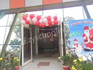 Dolphin Kids School Gallery