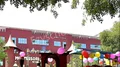 Dolphin Kids School Gallery