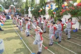 Samurja International School Gallery