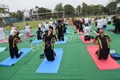 Platinum Valley International School Gallery