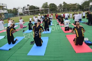 Platinum Valley International School Gallery