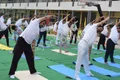 Platinum Valley International School Gallery