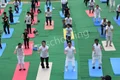 Platinum Valley International School Gallery