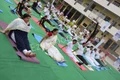 Platinum Valley International School Gallery