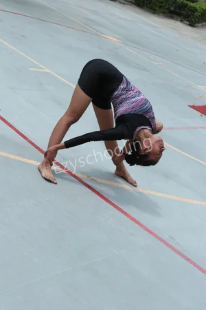 National Public School Gallery