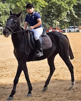 Silverline Prestige School Gallery