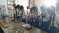 Eureka International School Gallery