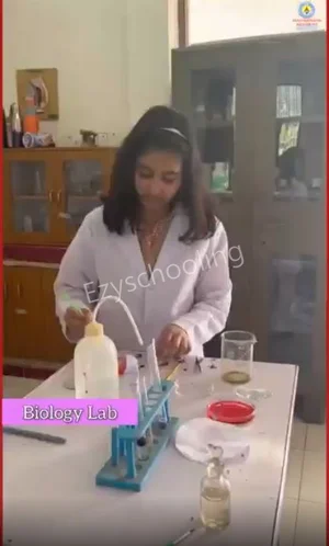 Vishwanath Academy Gallery