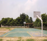 Iris Crown School Gallery