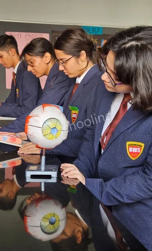 Boston World School Gallery