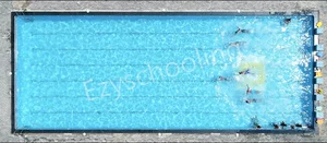 The Village International School Gallery