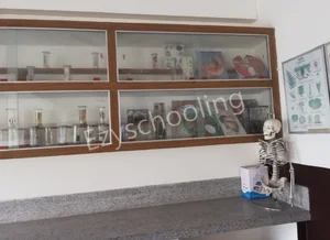 Stella Maris Inter College Gallery