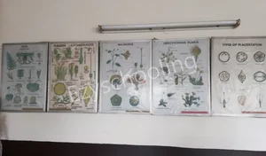 Stella Maris Inter College Gallery