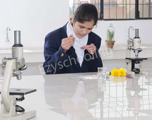 St.Joseph Inter College Gallery