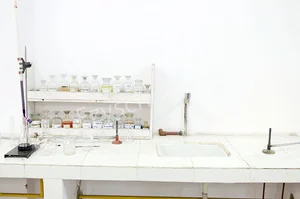 St. Teresa’s Day School & College Gallery