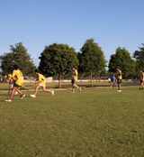 The International School Bangalore Gallery