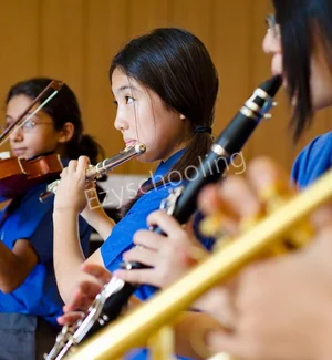 The International School Bangalore Gallery