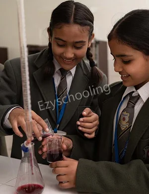 St. Mary's Inter College Gallery