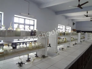 St. Mary’s Convent Inter College Gallery