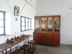 St. Mary’s Convent Inter College Gallery