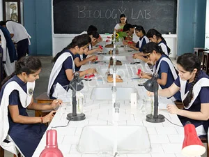 St. Mary’s Convent Inter College Gallery