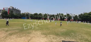 St. Francis' College Gallery