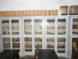 St. Francis' College Gallery