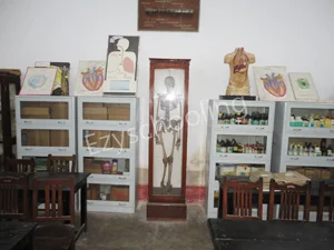 St. Francis' College Gallery