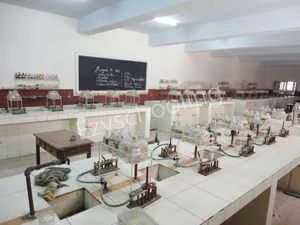 St. Francis' College Gallery