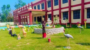 St. Francis School Gallery