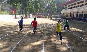 The Cambridge Sr. Sec. school Gallery