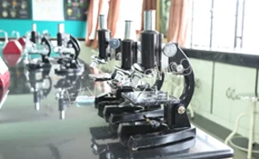 St. Joseph's Academy Gallery