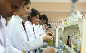 St. Joseph's Academy Gallery