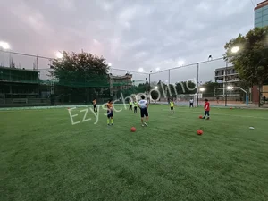 Excelsior American School Gallery