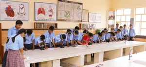 Modern School Gallery